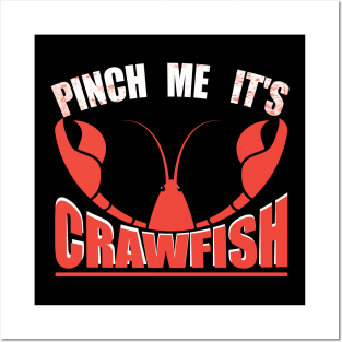 Pinch Me, It's Crawfish shell vibes Posters and Art